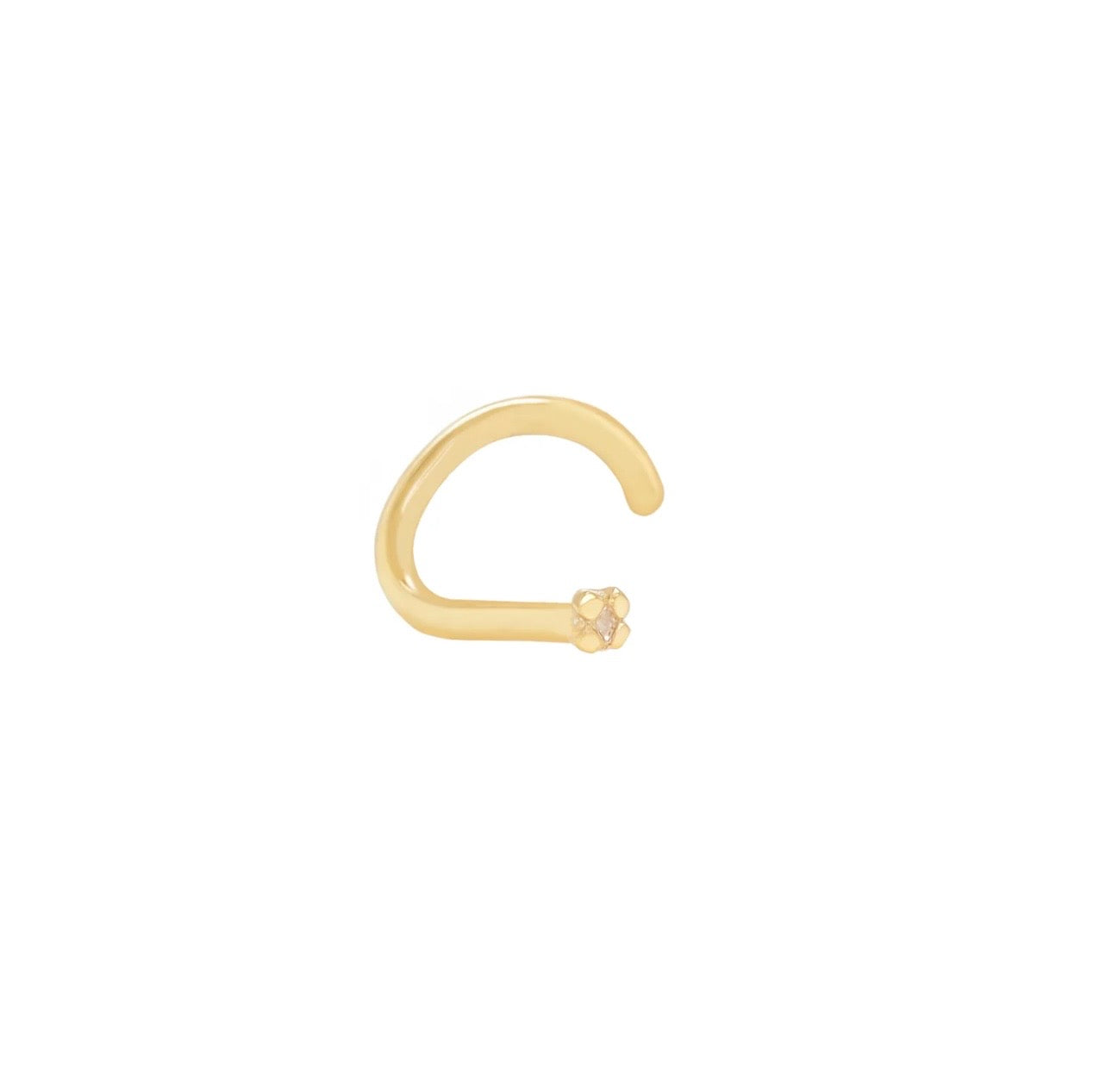 Áurea Hoop Ear Piercing