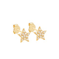 Áurea Star Stud Earrings 14K