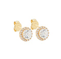 Áurea Swarovski Stud Earrings 14k